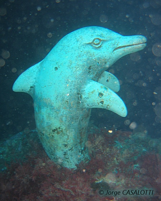 La plongée sous-marine aux iles Medes avec l'incontournable grotte du dauphin !