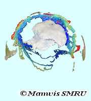 Profils de température et salinité Projet SEaOS, profils de température et salinité