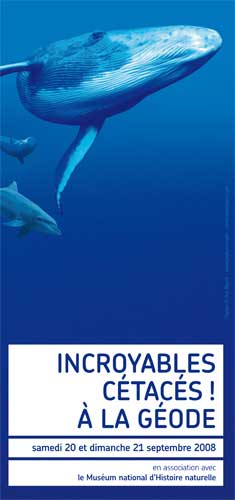 Week-end 'Incroyables Cétacés!' à la Géode