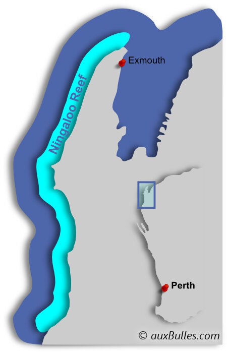 Ningaloo Reef est situé le long des côtes occidentales de l'Australie au nord de Perth Ningaloo Reef est situé le long des côtes occidentales de l'Australie au nord de Perth