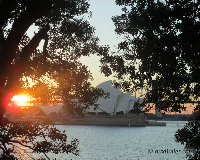 Coucher de soleil sur l'opéra de Sydney
