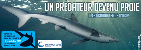 Semaine européenne pour les requins Semaine européenne pour les requins