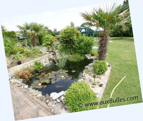 bassin de jardin conseil