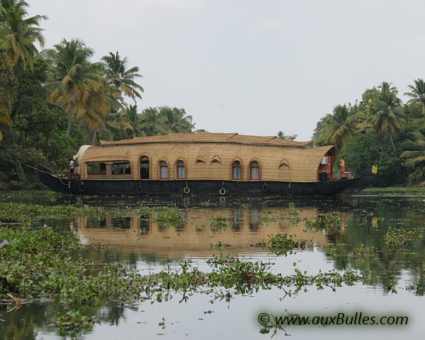 Les backwaters dans la région du Kerala (Inde)