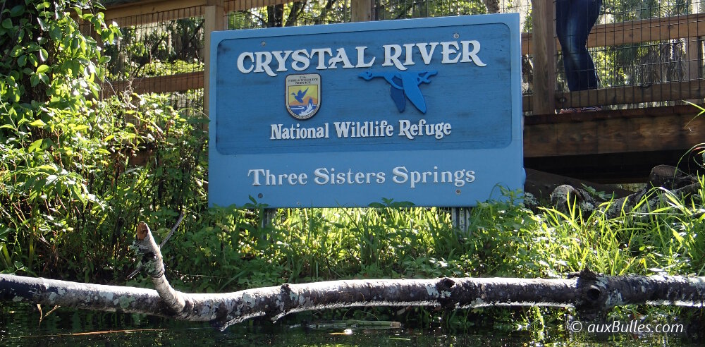 Le point d'entrée surveillé qui mène aux sources de 'Three Sisters Springs' dans la réserve naturelle de Crystal River