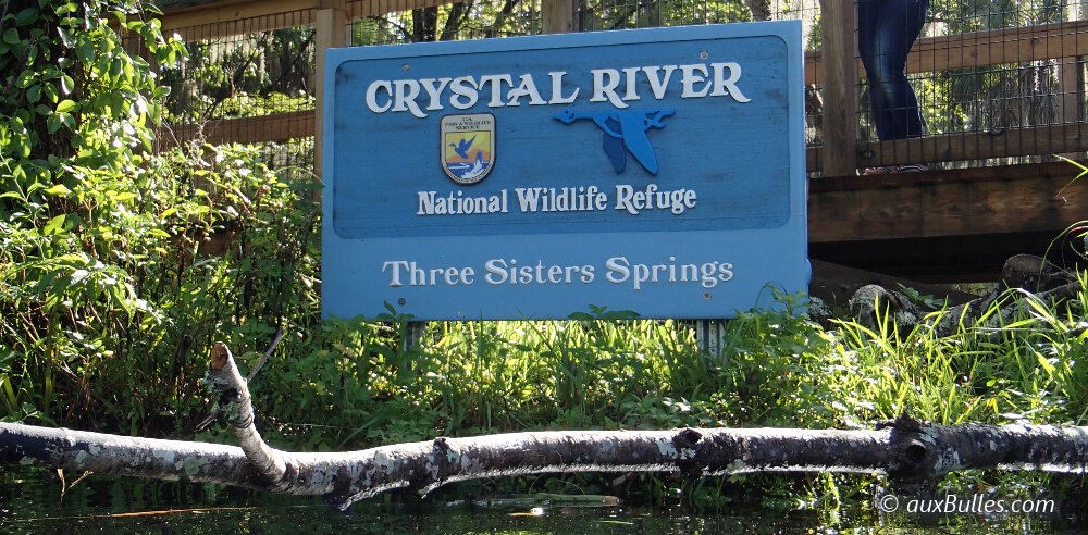 Le point d'entrée surveillé qui mène aux sources de 'Three Sisters Springs' dans la réserve naturelle de Crystal River Le point d'entrée surveillé qui mène aux sources de 'Three Sisters Springs' dans la réserve naturelle de Crystal River