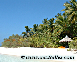 Les Maldives avec ses plages de sable blanc et ses palmiers en toile de fond
