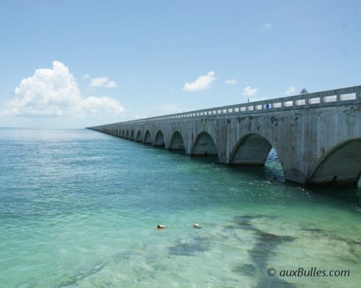 La première section de l'ancien Seven Mile Bridge avec son tablier métallique de couleur bleu relie Knight Key à Pigeon Key