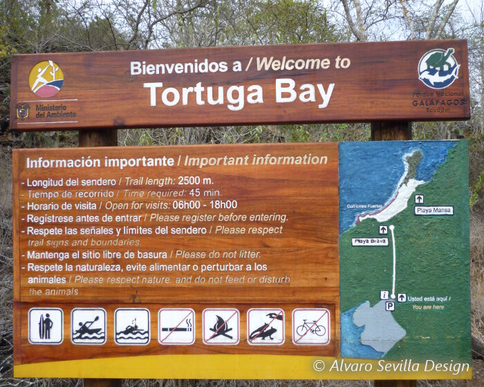 La baie de Tortuga se situe sur l'ile de Santa Cruz dans l’archipel des Galapagos