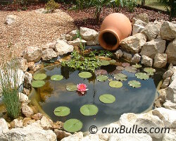 Le bassin de jardin de Philippe