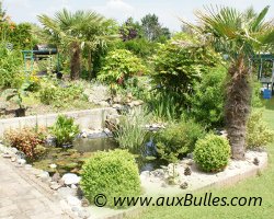 Vue g�n�rale de l'am�nagement du bassin de jardin de Pascal