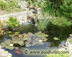 Vue g�n�rale du bassin de jardin de Pascal avec en fond la cascade