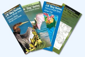 Une brochure sur les principales espèces d'oiseaux ou encore sur les différents types de mangroves Une brochure sur les principales espèces d'oiseaux ou encore sur les différents types de mangroves
