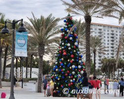 La féerie des décorations de Noël