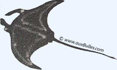 Dessin en sable de la raie manta par des Maldiviens Dessin en sable de la raie manta par des Maldiviens
