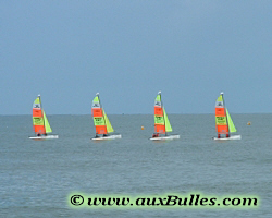 Voile: les catamarans hauts en couleur
