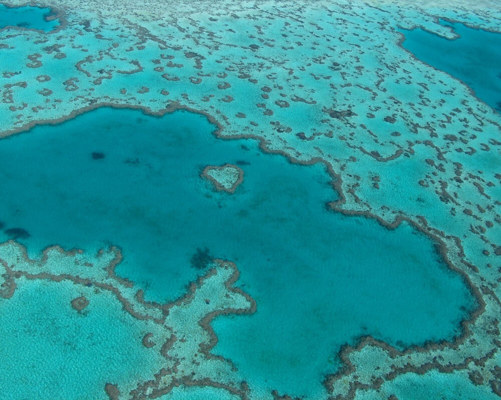 Une vue aérienne sur le récif corallien emblématique de Heart Reef au coeur de la Grande Barrière de Corail en Australie Une vue aérienne sur le récif corallien emblématique de Heart Reef au coeur de la Grande Barrière de Corail en Australie