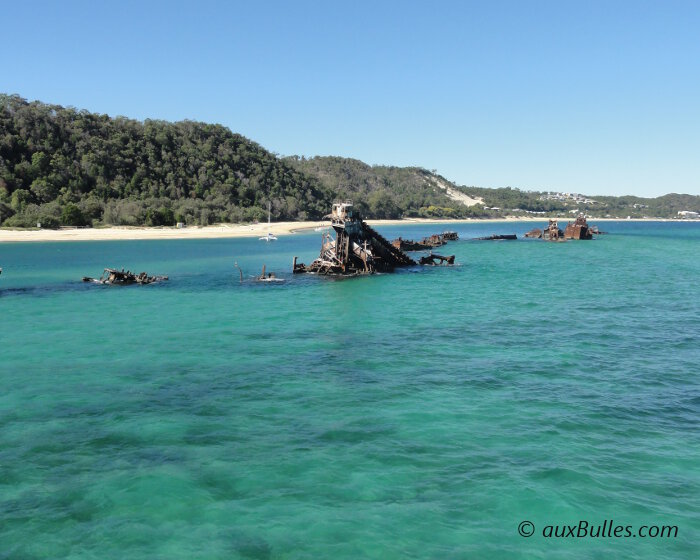 Les épaves de Tangalooma abritent une multitude de poissons et sont visibles en snorkeling !