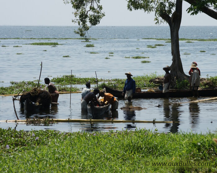 La pêche traditionnelle au bord du lac