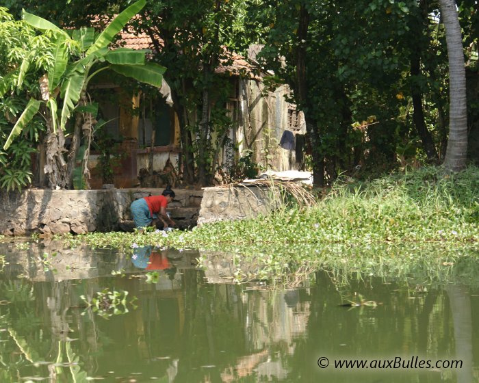 Une scène de la vie quotidienne dans les Backwaters