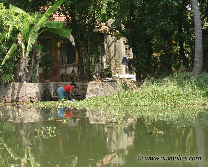 Scène de la vie quotidienne dans la région des backwaters au Kerala (Inde) Scène de la vie quotidienne dans la région des backwaters au Kerala (Inde)