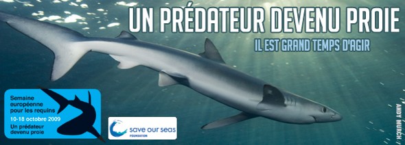 Semaine européenne pour les requins