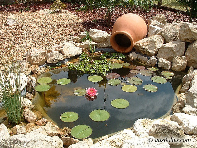 L'aménagement du bassin de jardin de Philippe avec sa jarre, son massif rocheux et ses plantes aquatiques