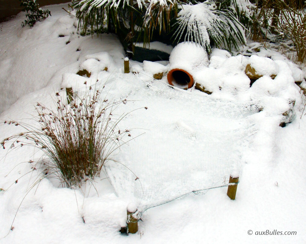 Le bassin de jardin gelé en surface et recouvert de neige l'hiver