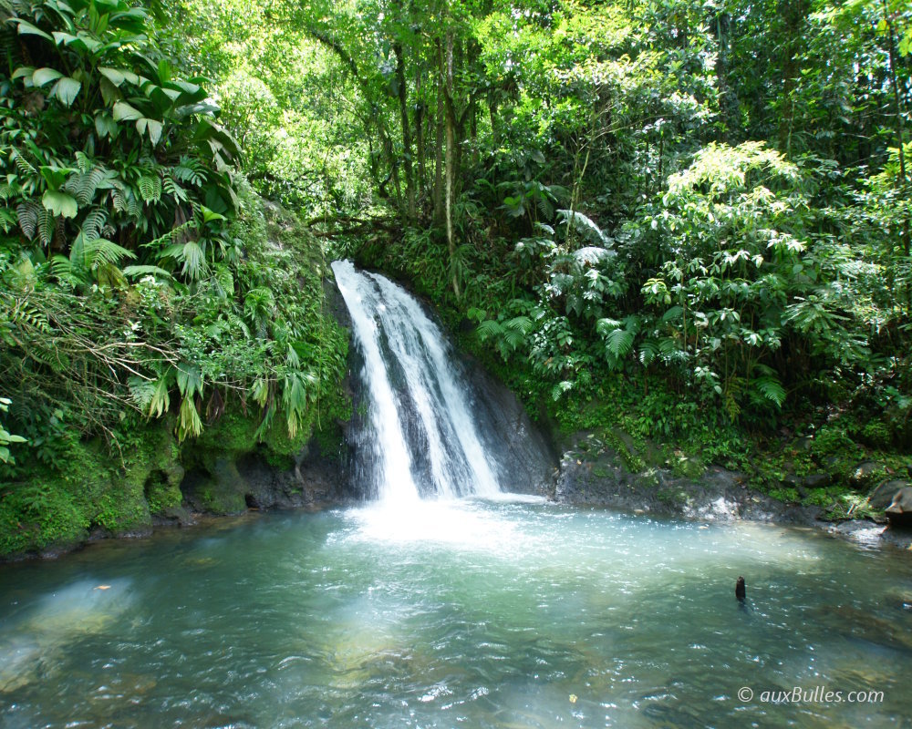 La Cascade aux Écrevisses est située sur la Route de la Traversée au cœur d'une végétation tropicale luxuriante La Cascade aux Écrevisses est située sur la Route de la Traversée au cœur d'une végétation tropicale luxuriante