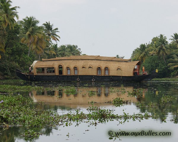 Les backwaters dans la région du Kerala (Inde) Les backwaters dans la région du Kerala (Inde)