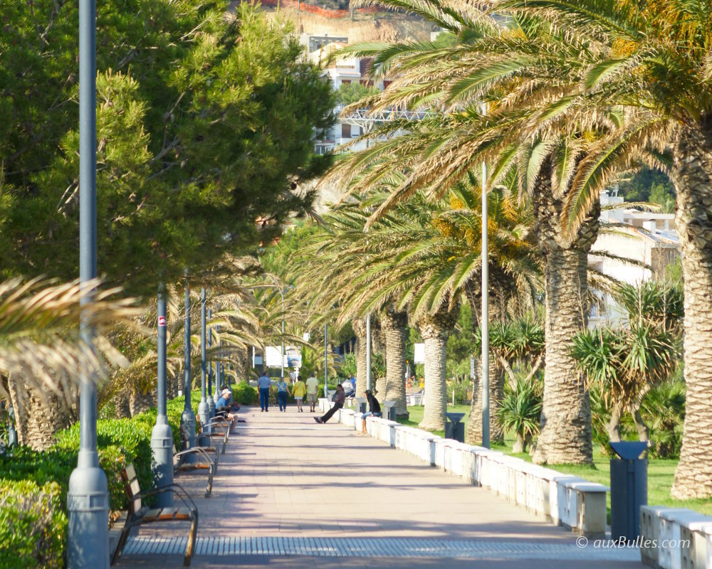 L'esplanade bordée de palmiers qui longe la plage de L'Estartit offre une agréable promenade face à la mer et aux Îles Medes