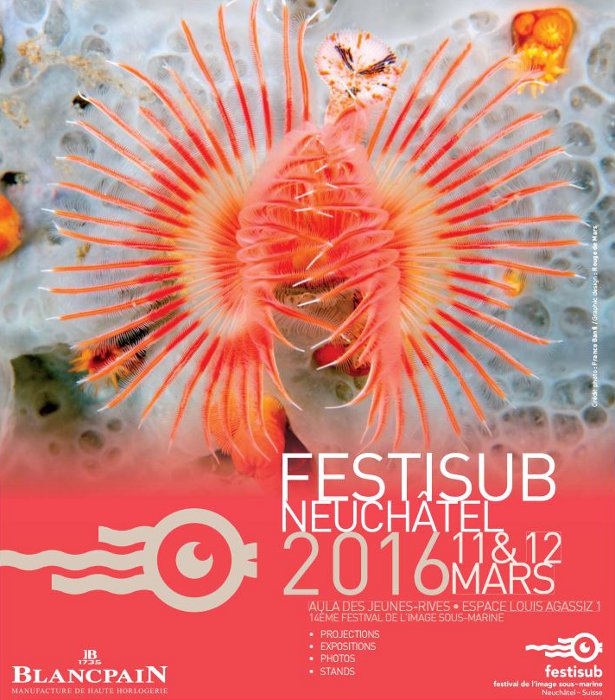 L'affiche de la 14ème édition du Festival de l'Image Sous Marine (Festisub)