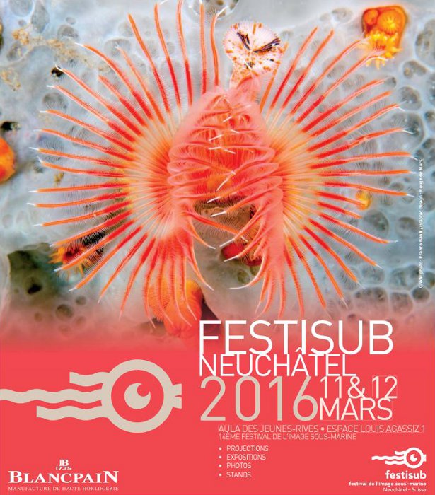 L'affiche de la 14ème édition du Festival de l'Image Sous Marine (Festisub) L'affiche de la 14ème édition du Festival de l'Image Sous Marine (Festisub)