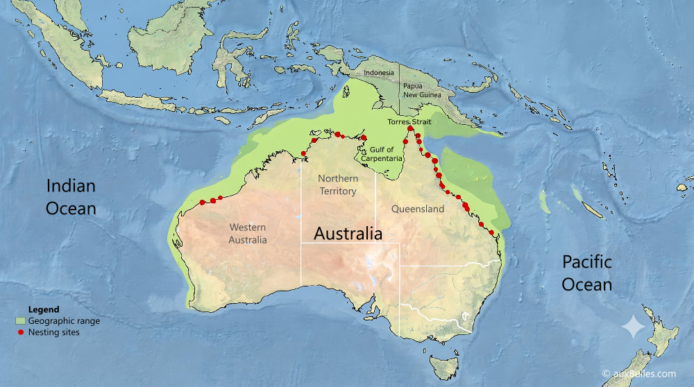 Geographic range and major nesting sites of the flatback sea turtle (Natator depressus) Geographic range and major nesting sites of the flatback sea turtle (Natator depressus)