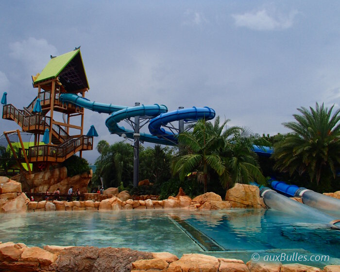 Dolphin Plunge slides: experience the dolphins up close through transparent tubes