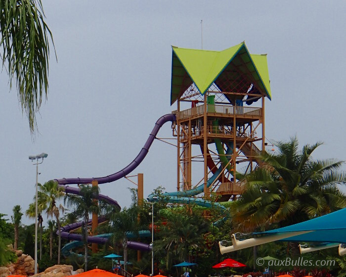For thrill-seekers, Ihu's Breakaway Falls slide delivers a vertical launch !