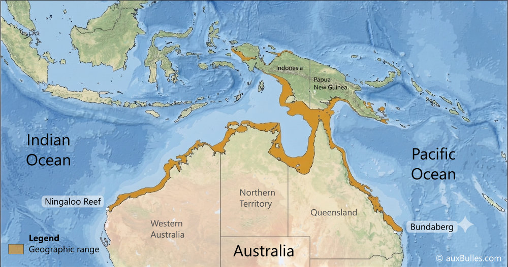 Geographic range of the tasseled wobbegong (Eucrossorhinus dasypogon)