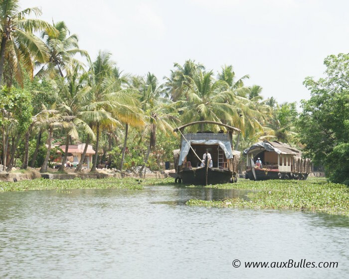 Les houseboats parcourent les canaux à la découverte des Backwaters