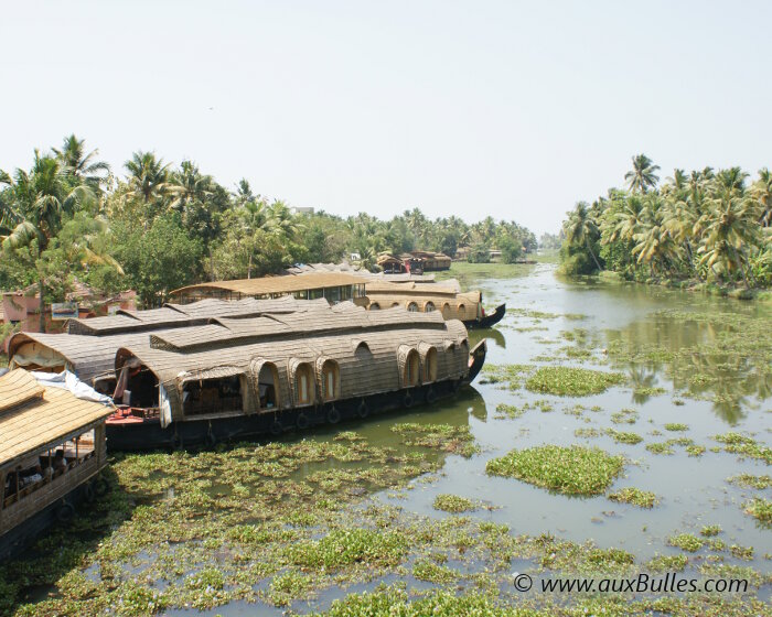 Au départ de nombreuses villes, les houseboats vous attendent pour une visite des Backwaters !