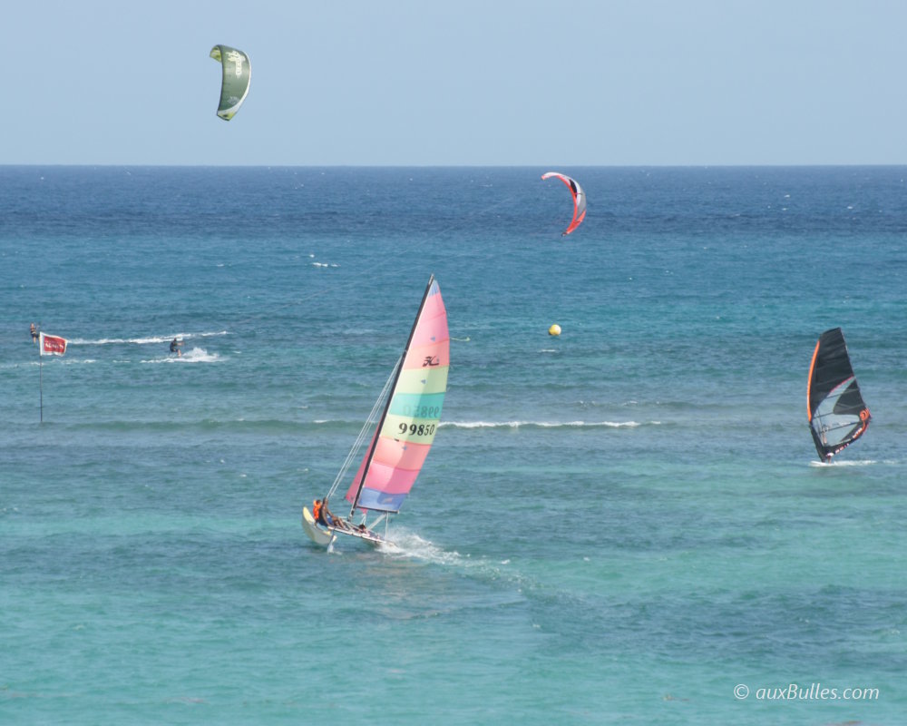 Activités nautiques dans le lagon de Saint-François en Guadeloupe, où kitesurf, planche à voile et catamaran profitent des vents réguliers Activités nautiques dans le lagon de Saint-François en Guadeloupe, où kitesurf, planche à voile et catamaran profitent des vents réguliers