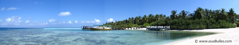 Une île paradisiaque parmi les milliers d'îles des Maldives