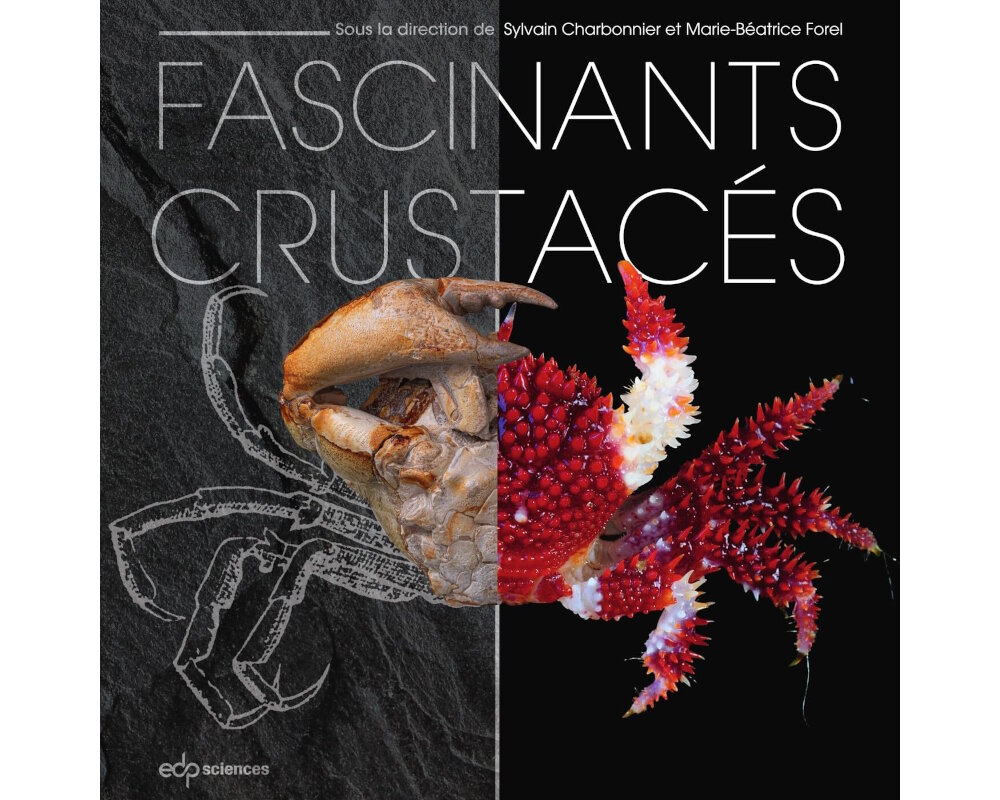 Le livre 'Fascinants crustacés' explore la diversité et l'évolution des crustacés, depuis leurs origines il y a environ 520 millions d'années jusqu'à leurs formes actuelles, en mettant en lumière leur incroyable capacité d'adaptation à tous les environnements, qu'ils soient marins ou terrestres. Rédigé par une cinquantaine de biologistes et paléontologues, il offre un aperçu des méthodes scientifiques utilisées pour étudier ces organismes, des collections du Muséum National d'Histoire Naturelle aux expéditions en mer, en décrivant comment les avancées technologiques permettent de mieux comprendre la biologie et l'évolution des crustacés.