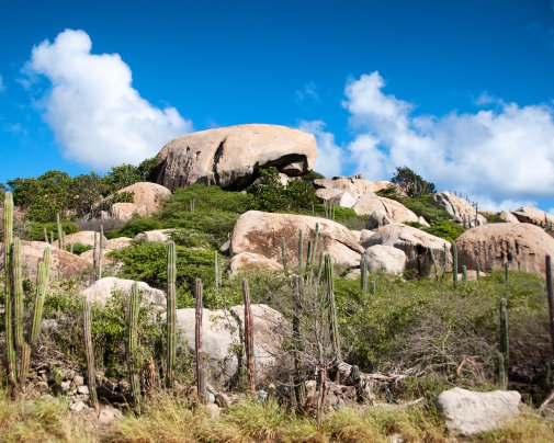 Formations rocheuses d'Ayo entourées de cactus au cœur du paysage aride d'Aruba