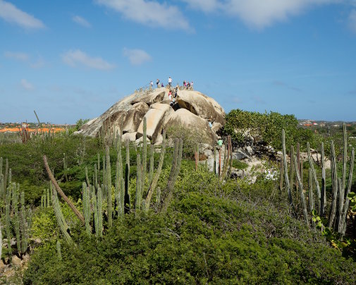 Vue sur les formations rocheuses de Casibari entourées de cactus, à Aruba