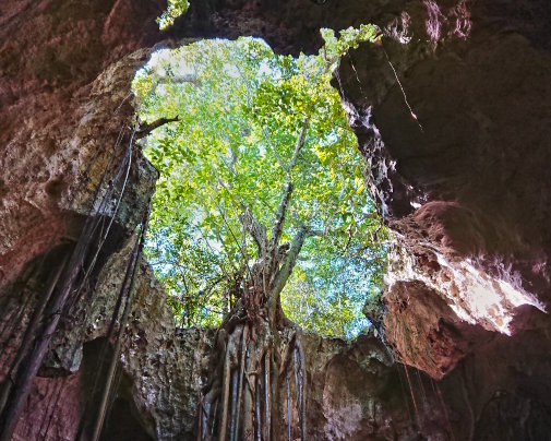 Le toit effondré de Cathedral Cave, une grotte spectaculaire au cœur de Eleuthera