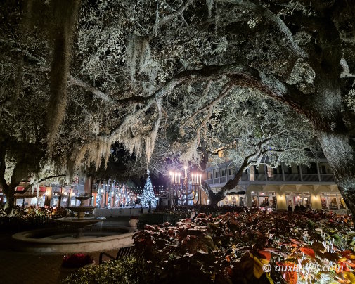 Christmas lights in the town of Celebration, Florida