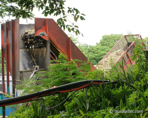 Déchargement et acheminement de la canne à sucre à la Distillerie Damoiseau située au Moule, en Guadeloupe
