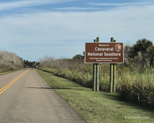Le Canaveral National Seashore, une vaste étendue protégée bordant l'océan