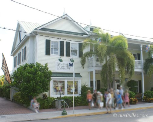 Les papillons tropicaux du Key West Butterfly and Nature Conservatory feront le bonheur des petits comme des grands !