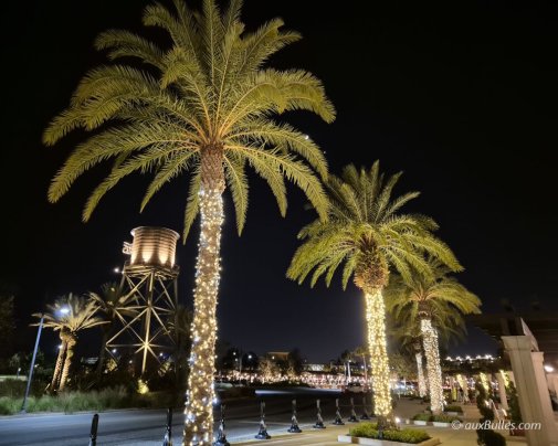 L'arrivée à Disney Springs de nuit à la période de Noël L'arrivée à Disney Springs de nuit à la période de Noël